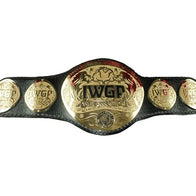 IWGP Heavyweight Tag Team Champions Belt - 2 | Dash Racegear