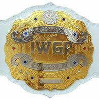 IWGP Intercontinental Championship Inspired Title Belt - 1 | Dash Racegear