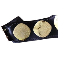 IWGP Junior Heavyweight Tag Team Championship Inspired Title Belt - 6 | Dash Racegear