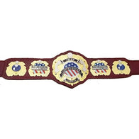 IWGP United States Championship Inspired Title Belt - 6 | Dash Racegear