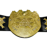 IWGP V2 Wrestling Heavyweight Championship Inspired Title Belt - 1 | Dash Racegear