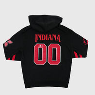 Indiana Fever Stranger Things Hawkins lab Hoodie Hoodie unisex detail view 2 | Dash Racegear — Stranger Things Fever Hoodie – Hawkins Lab Crossover
