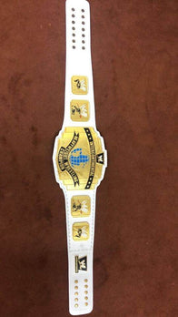 Intercontinental Heavyweight Championship Wrestling Inspired Belt - 5 | Dash Racegear