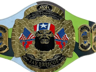 Jay Briscoe ROH world Heavyweight Championship Wrestling Title Belt - 2 | Dash Racegear