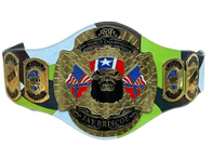 Jay Briscoe ROH world Heavyweight Championship Wrestling Title Belt - 1 | Dash Racegear
