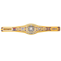 WWE John Cena Farewell Tour 2025 Bakersfield Spinner Championship Belt - 5 | Dash Racegear