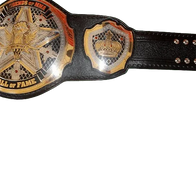 Legends of MMA Hall of Fame Championship Belt - 3 | Dash Racegear