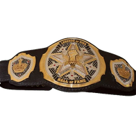 Legends of MMA Hall of Fame Championship Belt - 2 | Dash Racegear