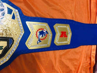 Miami Dolphins championship belt Inspired adult size - 3 | Dash Racegear