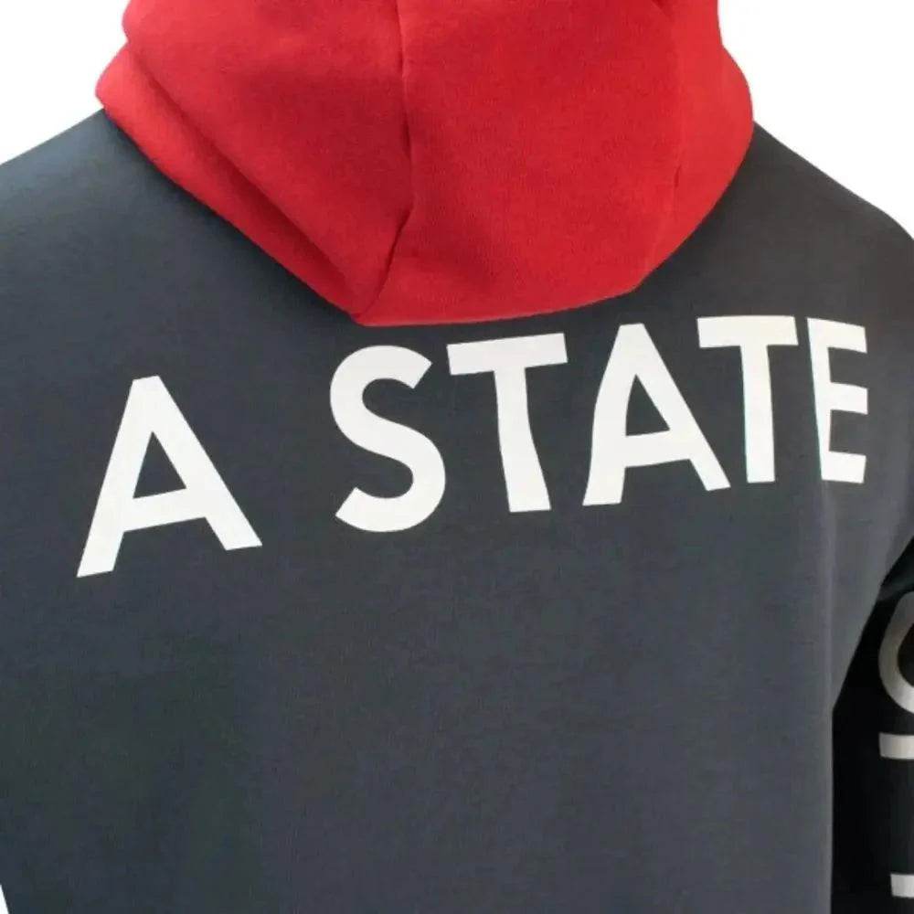 Mick Schumacher Hoodie Shirt Series 2 - Dash Racegear Store
