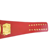 N.A.B.F 1973 Heavyweight Boxing Championship Title Belt - 3 | Dash Racegear