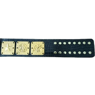 NWA Americas Heavyweight Wrestling Champion Belt - 3 | Dash Racegear