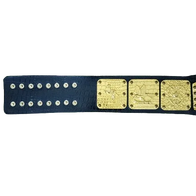 NWA Canadian Pacific Coast Classy Champion Inspired Title Belt - 2 | Dash Racegear