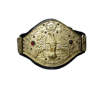 NWA Canadian Pacific Coast Classy Champion Inspired Title Belt - 1 | Dash Racegear