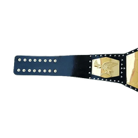 NWA Detroit United States Heavyweight Championship belt - 3 | Dash Racegear