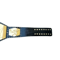 NWA Detroit United States Heavyweight Championship belt - 2 | Dash Racegear