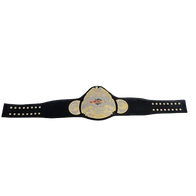 NWA Heritage title Wrestling Champion Belt Sean Waltman X-Pac TJP - 2 | Dash Racegear
