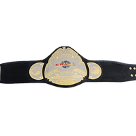 NWA Heritage title Wrestling Champion Belt Sean Waltman X-Pac TJP - 1 | Dash Racegear