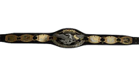 NWA International Wrestling Tag Team Championship Belt - 2 | Dash Racegear