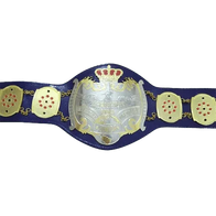 NWA Junior Heavyweight Inspired Championship Belt - 2 | Dash Racegear