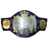 NWA Junior Heavyweight Inspired Championship Belt - 1 | Dash Racegear