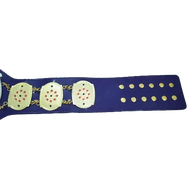 NWA Junior Heavyweight Inspired Championship Belt - 3 | Dash Racegear
