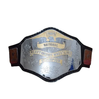 NWA National Heavyweight Championship Title Belt - 1 | Dash Racegear