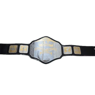 NWA National Heavyweight Championship Title Belt - 3 | Dash Racegear