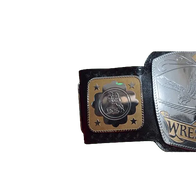 NWA National Tag Team Championship Title Inspired Belt - 3 | Dash Racegear