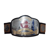 NWA National Tag Team Championship Title Inspired Belt - 1 | Dash Racegear