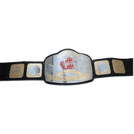 NWA National Tag Team Championship Title Inspired Belt - 2 | Dash Racegear
