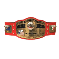 NWA New Red Championship Inspired Title Belt - 1 | Dash Racegear
