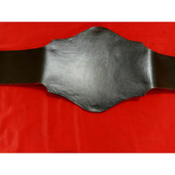 NWA World Television Championship Inspired Title Belt - 3 | Dash Racegear