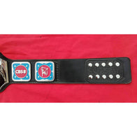 NWA World Television Championship Inspired Title Belt - 6 | Dash Racegear