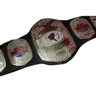 NWA WWW Eastern States Heavyweight Championship belt - 2 | Dash Racegear