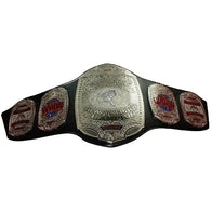 NWA WWW Eastern States Heavyweight Championship belt - 1 | Dash Racegear