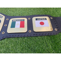 NWA World Heavyweight Championship Inspired Title Belt - 3 | Dash Racegear