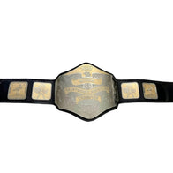 NWA National Heavyweight Championship Inspired Title Belt - 2 | Dash Racegear