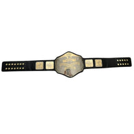 NWA National Heavyweight Championship Inspired Title Belt - 3 | Dash Racegear
