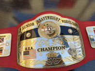 NWA World Junior Heavyweight Championship Inspired Title Belt - 4 | Dash Racegear