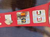 NWA World Junior Heavyweight Championship Inspired Title Belt - 8 | Dash Racegear