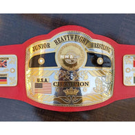 NWA World Junior Heavyweight Championship Inspired Title Belt - 2 | Dash Racegear