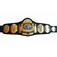 NWA world tag team championship belts Inspired Title Belt - 6 | Dash Racegear