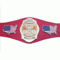 NWA Continental USA Heavyweight Wrestling Champion Belt - 1 | Dash Racegear