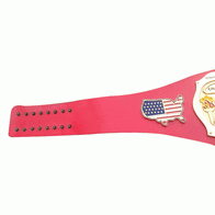 NWA Continental USA Heavyweight Wrestling Champion Belt - 3 | Dash Racegear