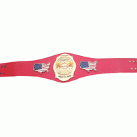 NWA Continental USA Heavyweight Wrestling Champion Belt - 4 | Dash Racegear