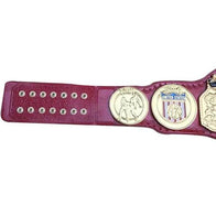 NWA USA Tag Team Wrestling Championship Belt - 2 | Dash Racegear