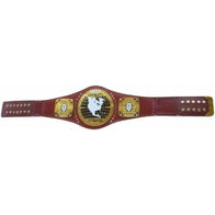 NXT North American Championship Inspired Title Belt - 5 | Dash Racegear