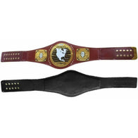 NXT North American Championship Inspired Title Belt - 4 | Dash Racegear
