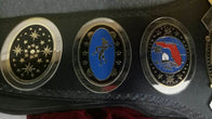 New Florida Heavyweight Wrestling Champion Title Belt - 5 | Dash Racegear
